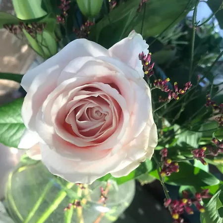 Netherdene Bed & Breakfast