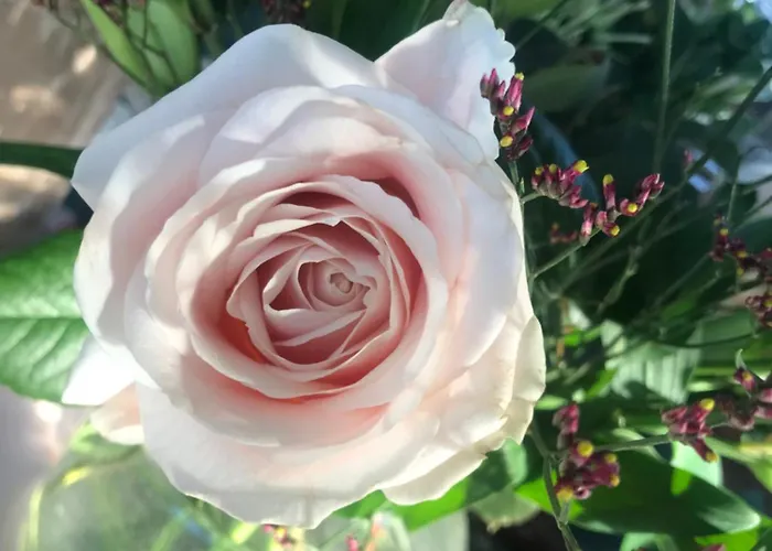 Netherdene Bed & Breakfast